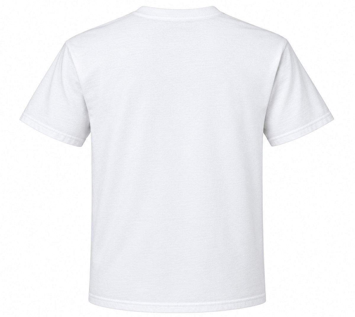 I've Been To All 50 T-shirt